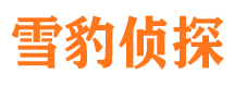 景谷外遇出轨调查取证